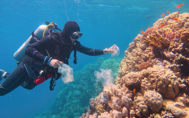 clean up on a reef
