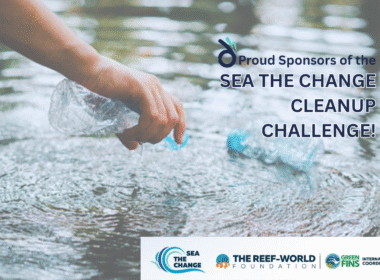 seathechange cleanup challenge