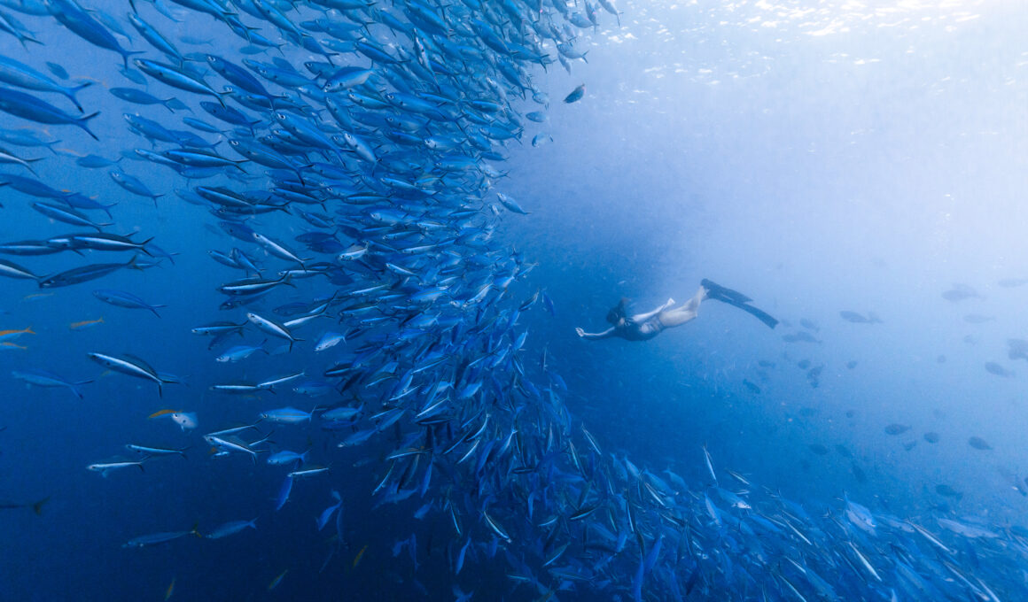 Some of the best diving is in June