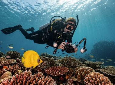 Scuba diver photographing a yellow butterflyfish on a tropical coral reef with compact underwater camera and strobes.