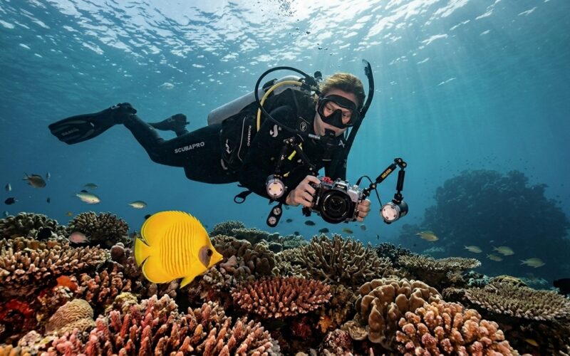 Scuba diver photographing a yellow butterflyfish on a tropical coral reef with compact underwater camera and strobes.